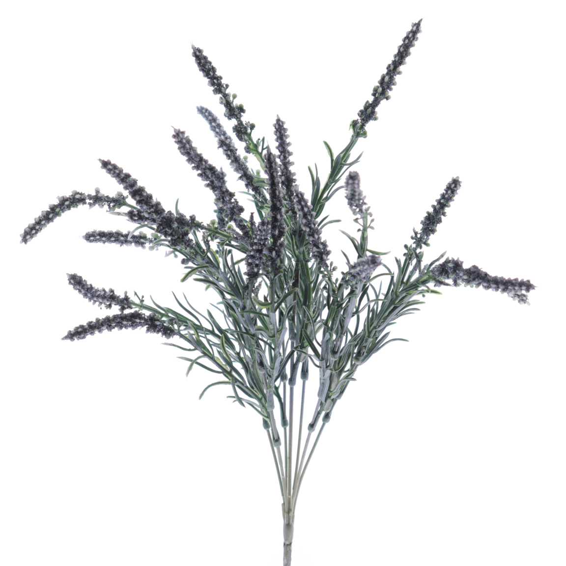 RAMO LAVANDA X8 BURDEOS
