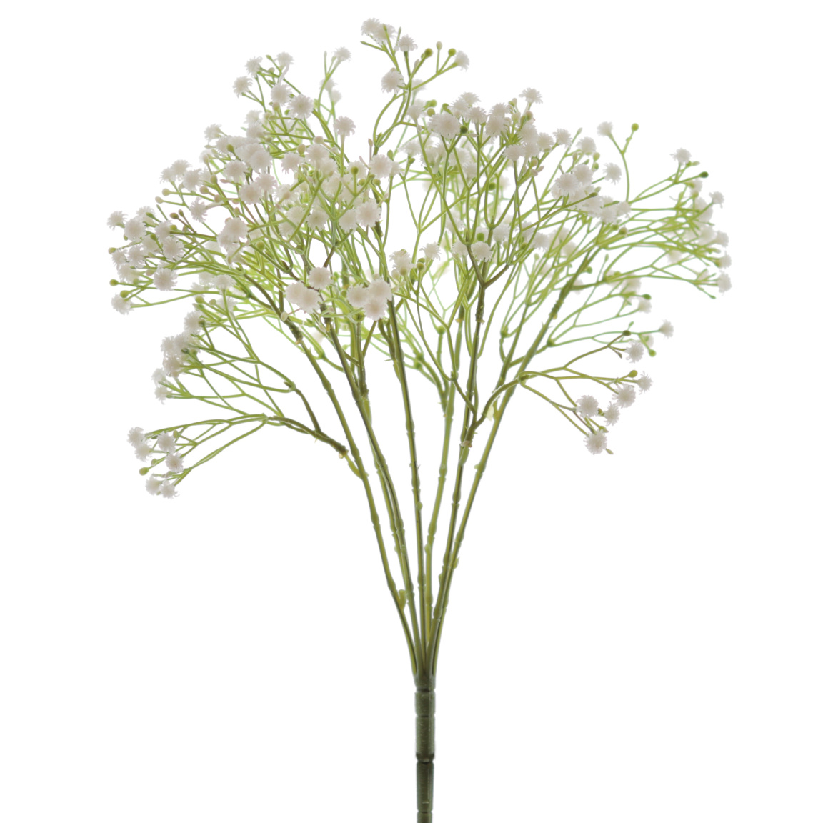 RAMO GUISOFILA X7 CREMA