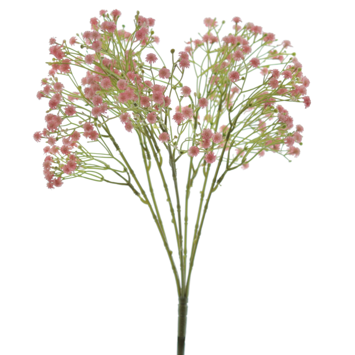 RAMO GUISOFILA X7 ROSA