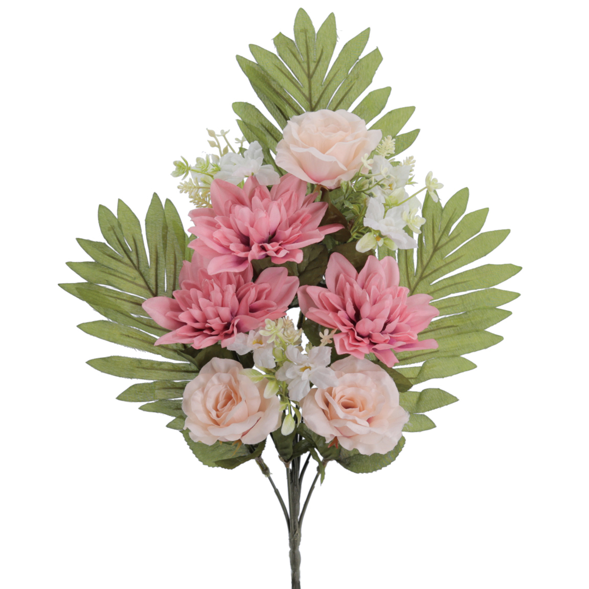 PALMA DAHLIAS ROSAS