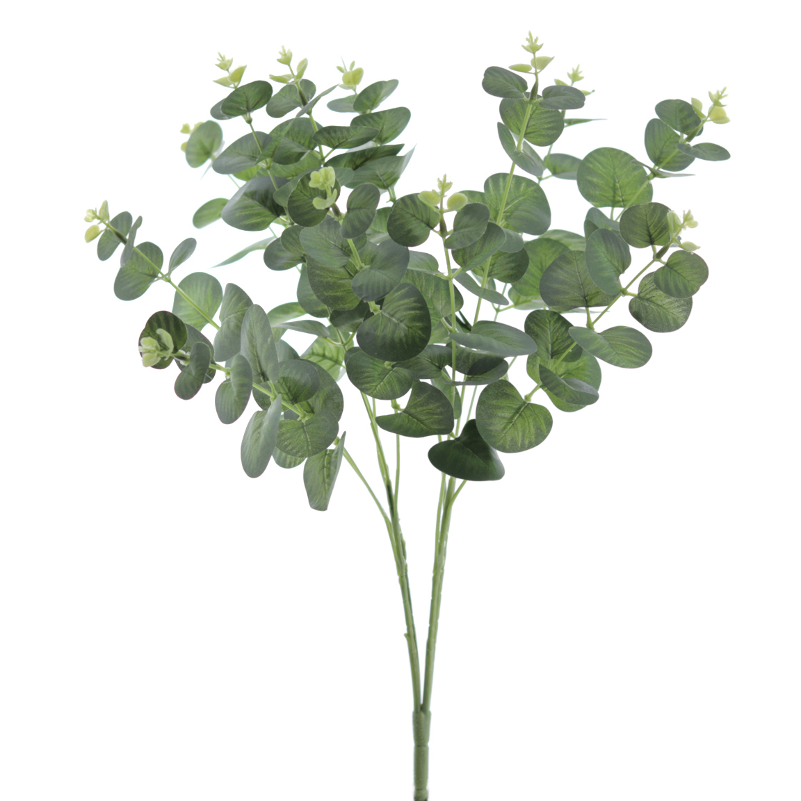 RAMO EUCALYPTUS VERDE 50CM