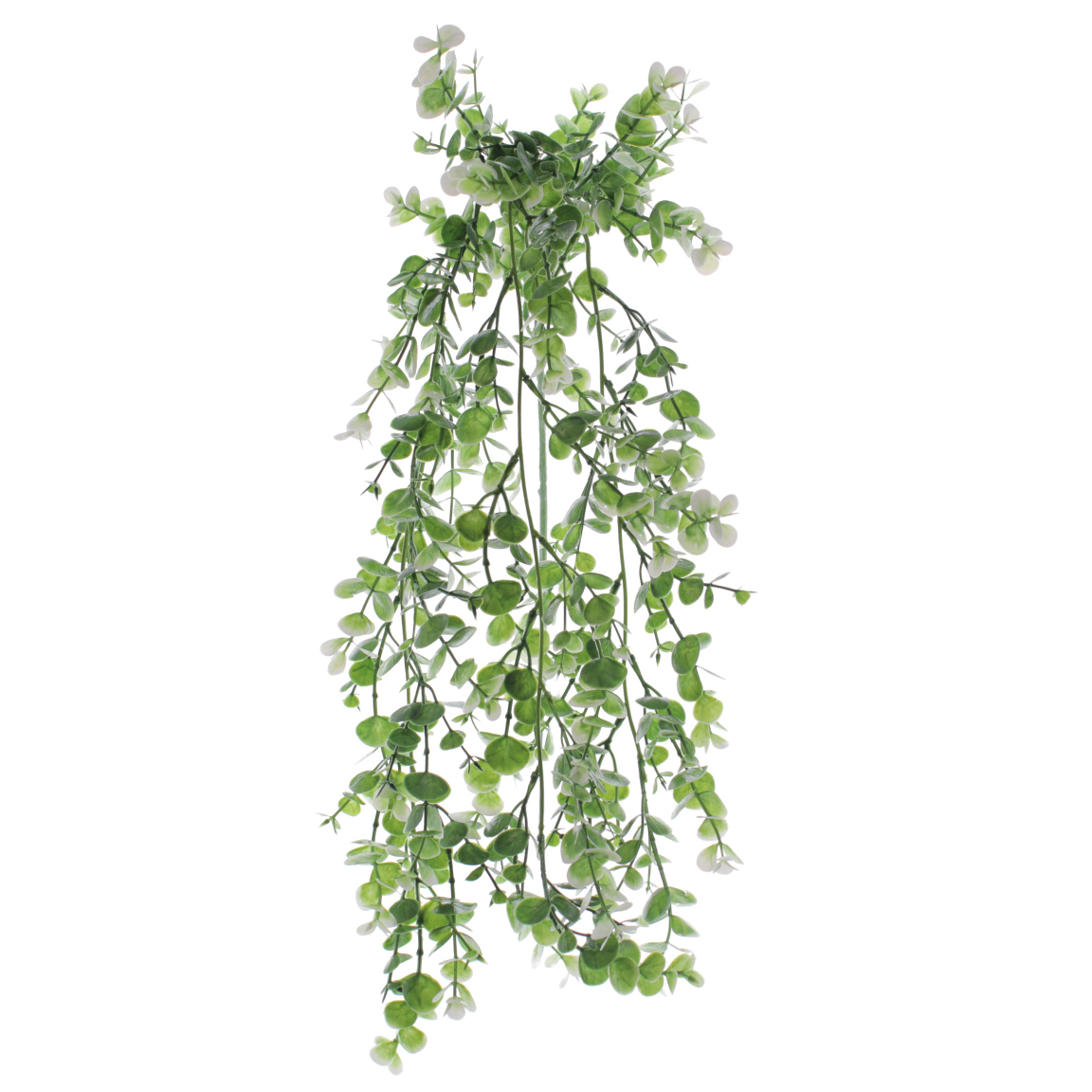 COLGANTE EUCALYPTUS BLANCO