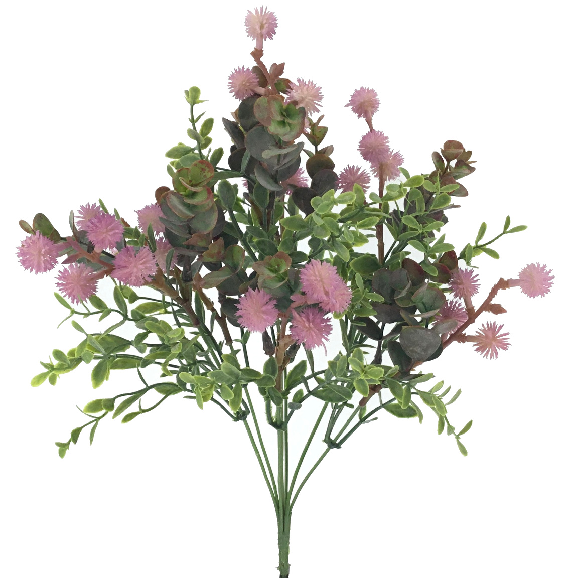 RAMO BERRY EUCALYPTUS MALVA
