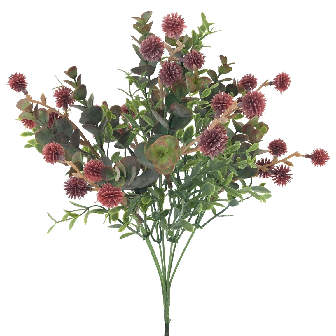 RAMO BERRY EUCALYPTUS FUCSIA