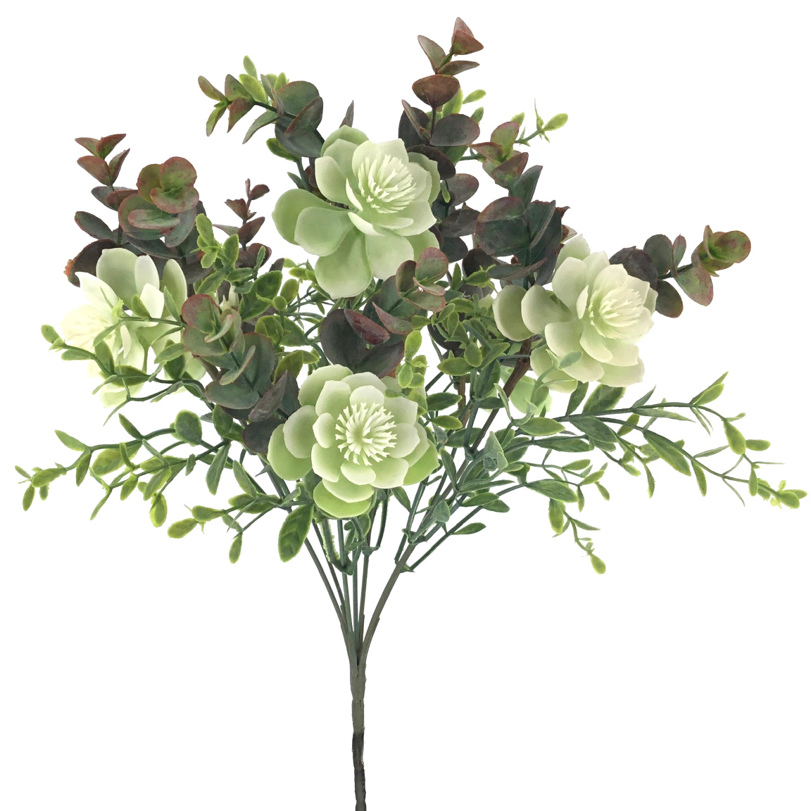 RAMO ALOE EUCALYPTUS CREMA