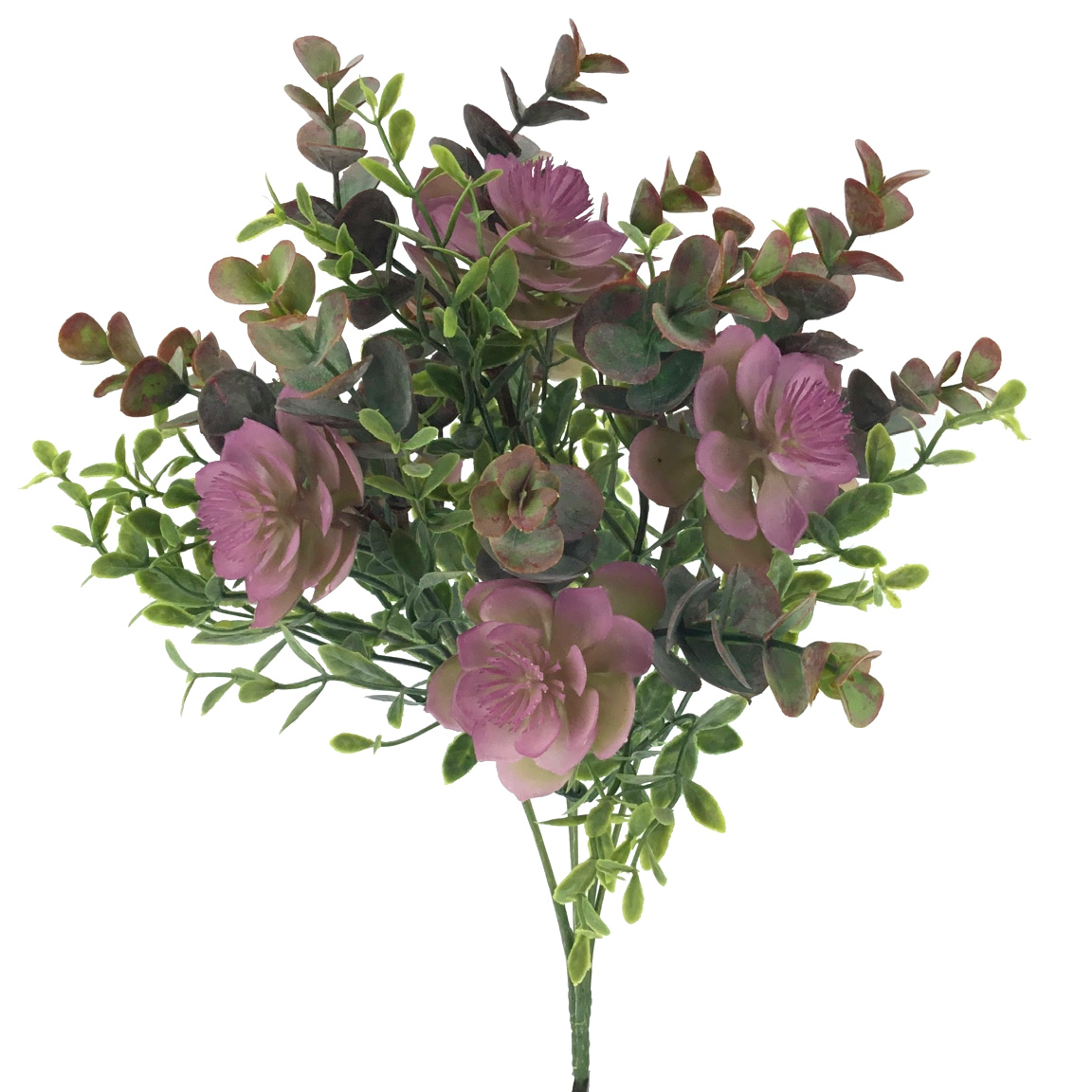 RAMO ALOE EUCALYPTUS MALVA