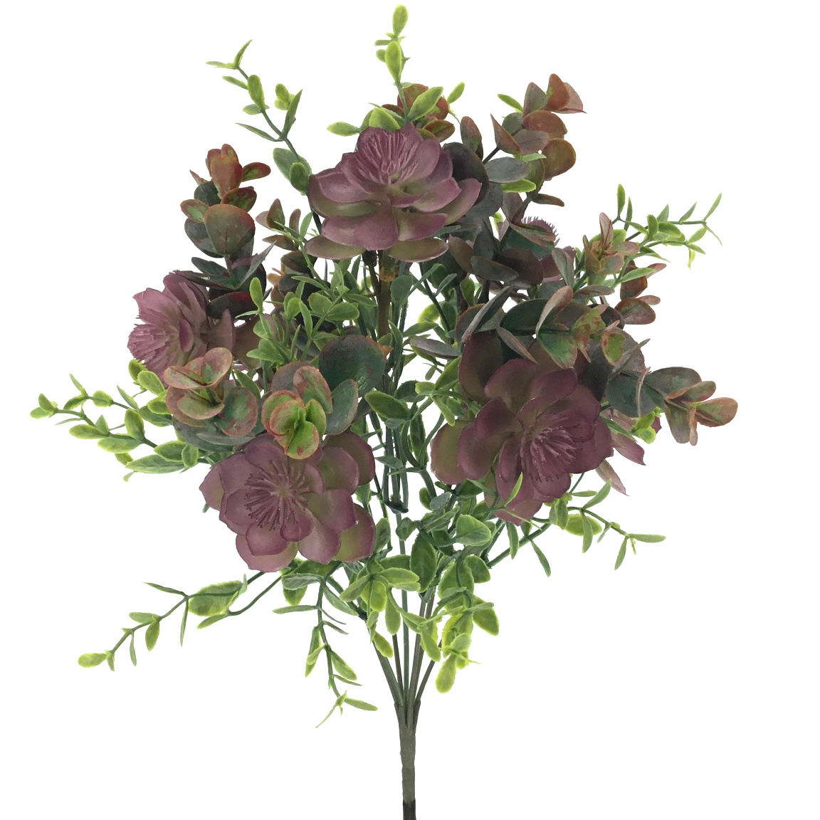 RAMO ALOE EUCALYPTUS PURPURA