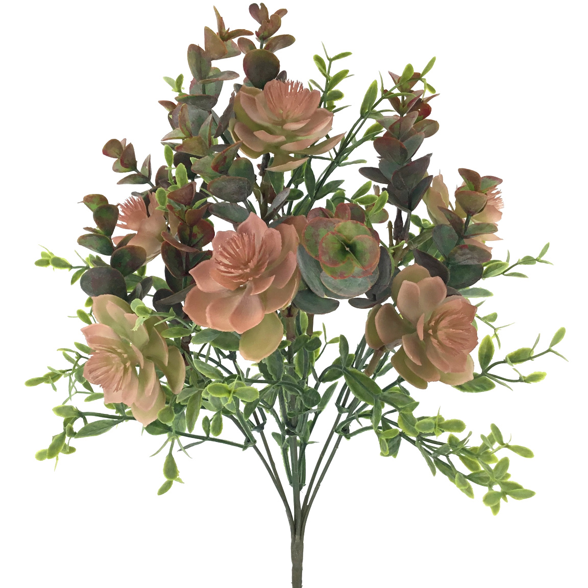 RAMO ALOE EUCALYPTUS CORAL