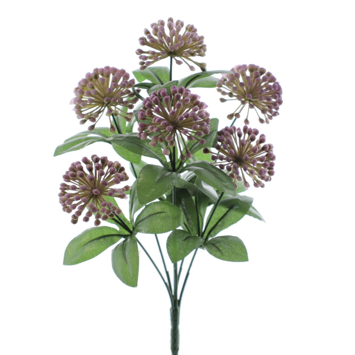 RAMO POM POM MALVA