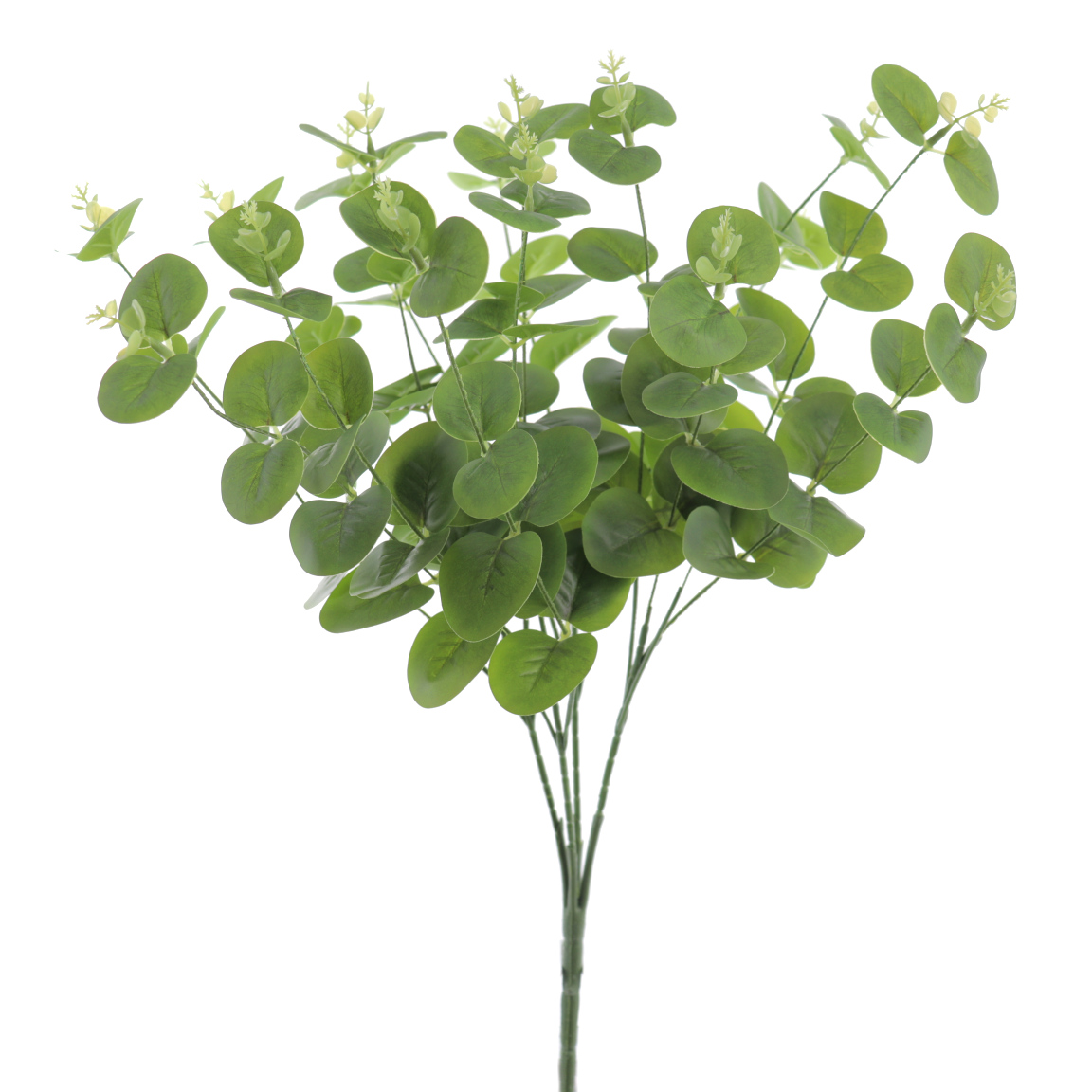 RAMO EUCALYPTUS VERDE