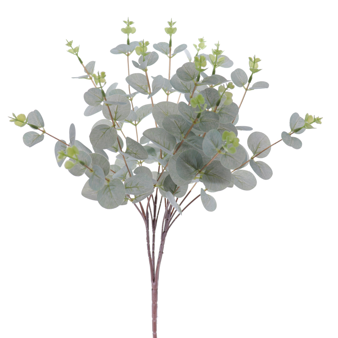 RAMO EUCALYPTUS VERDE