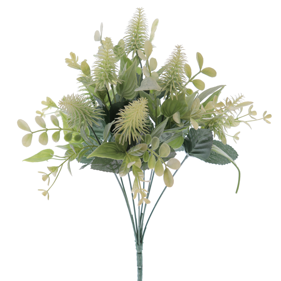 RAMO CAMPESTRE TRIFOLIUM CREMA