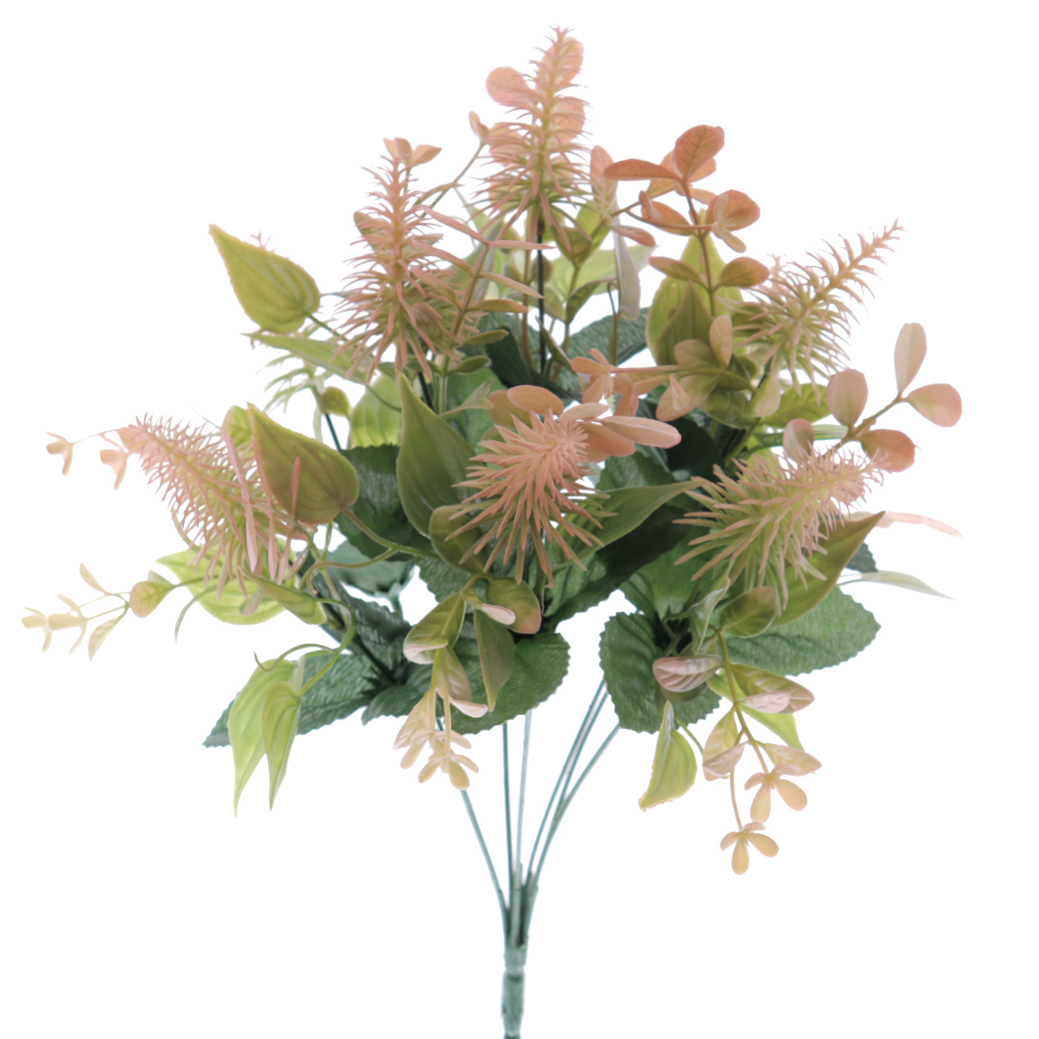 RAMO CAMPESTRE TRIFOLIUM CORAL