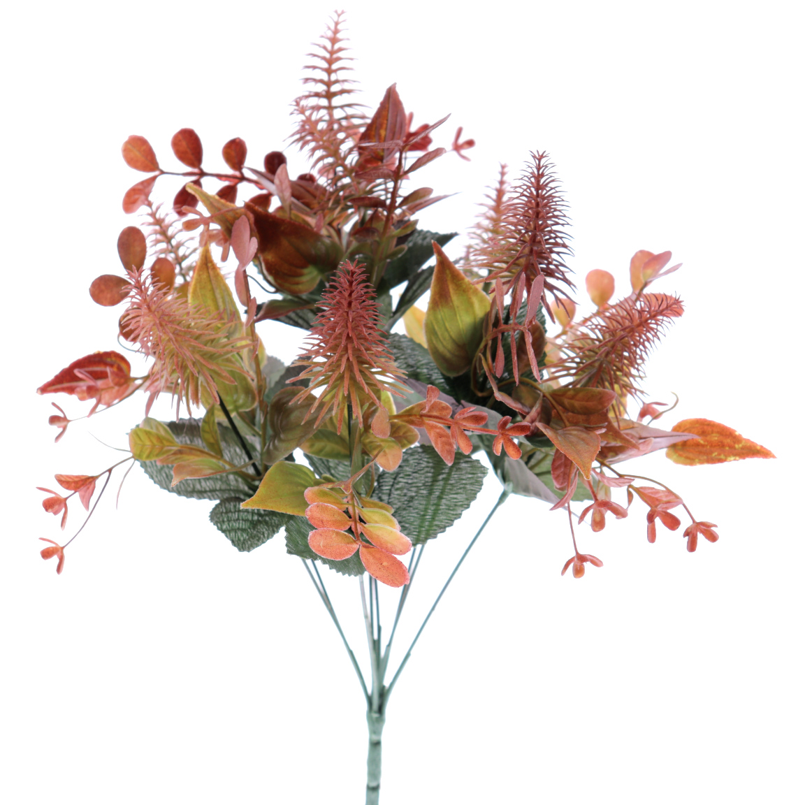 RAMO CAMPESTRE TRIFOLIUM CEREZA