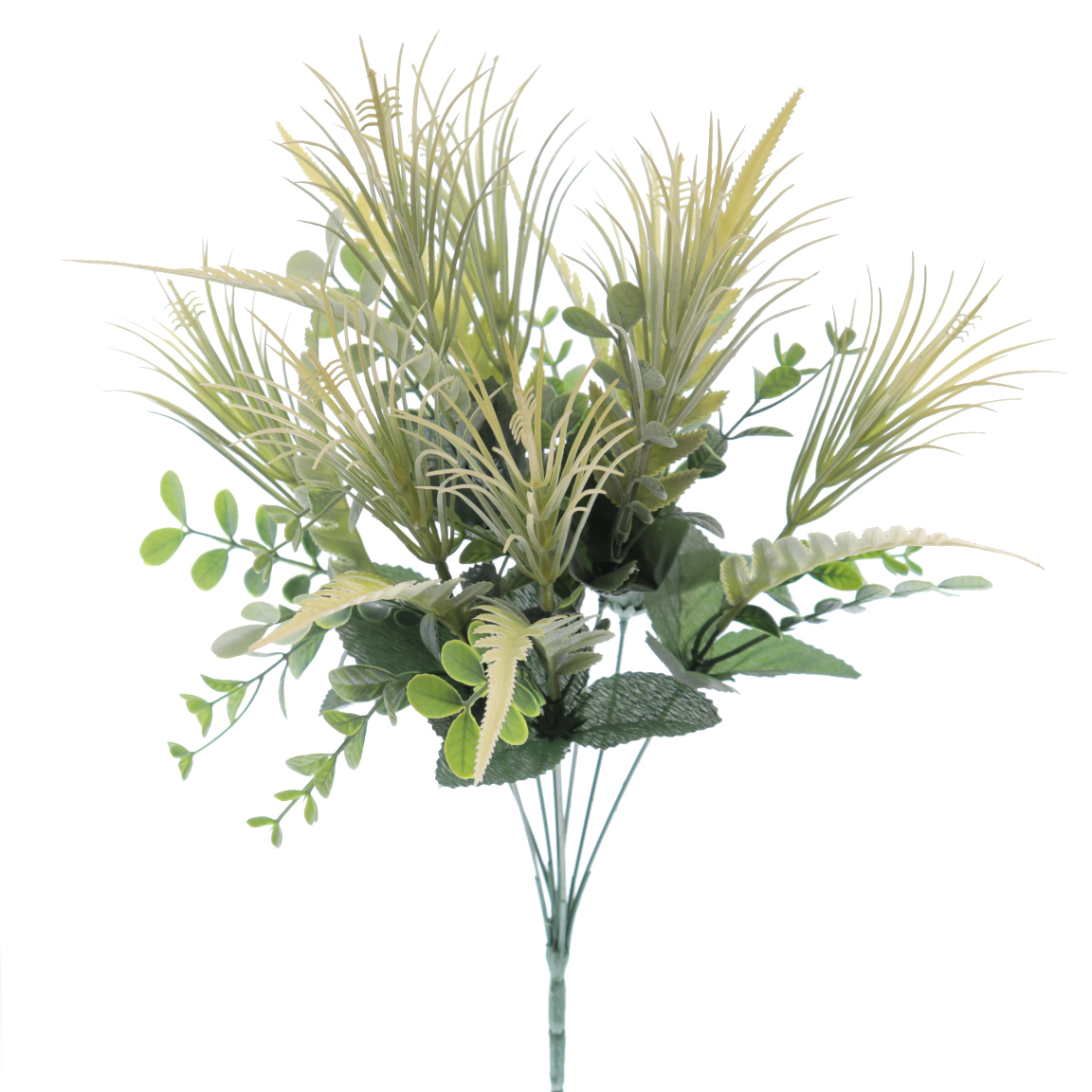 RAMO CAMPESTRE ERYNGIUM CREMA