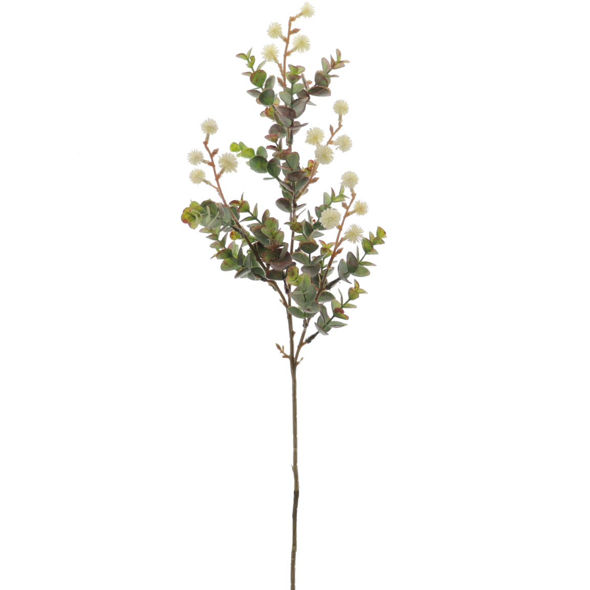 EUCALYPTUS SILVESTRE CREMA 64CM