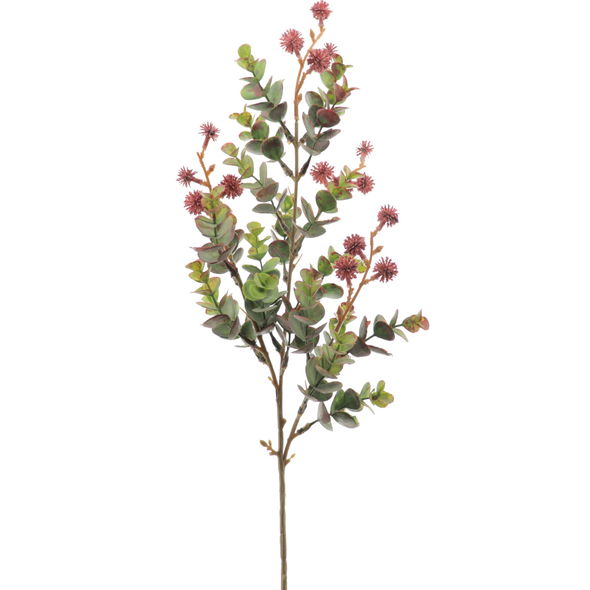 EUCALYPTUS SILVESTRE MIX 64CM FUCSIA
