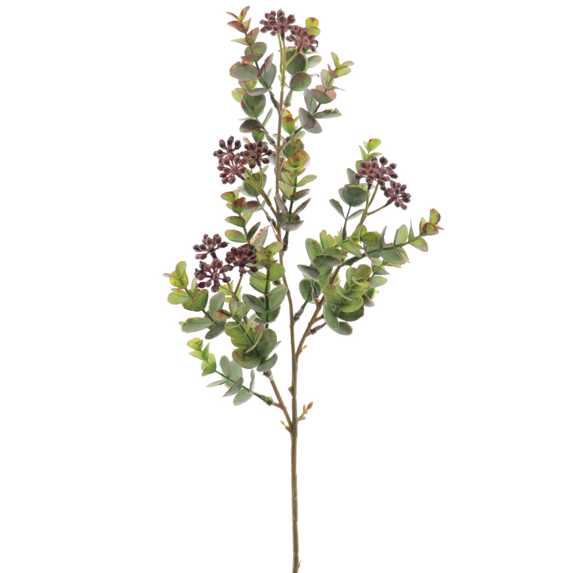 EUCALYPTUS SILVESTRE MIX BURDEOS