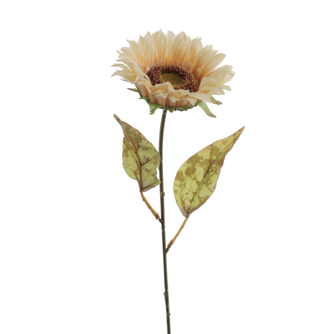 GIRASOL BEIGE