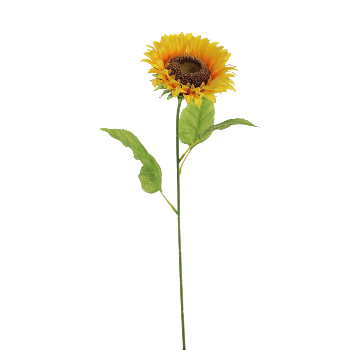 GIRASOL AMARILLO