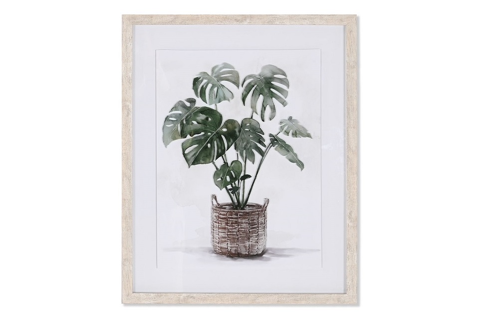 CUADRO CRISTAL PS 42.7X2.5X52.7CM PLANTA