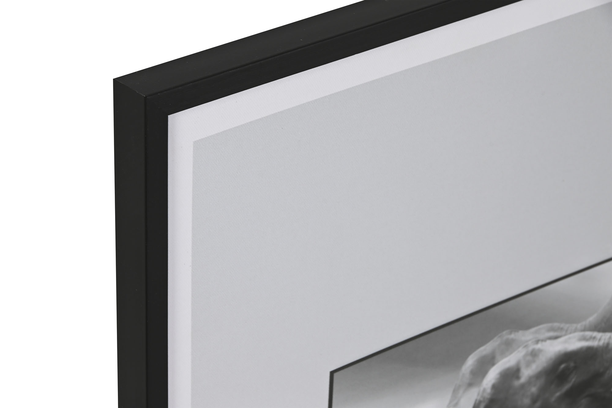 CUADRO LIENZO PS 45X2,2X60 ANIMAL BAÃ Â ERA MO 2