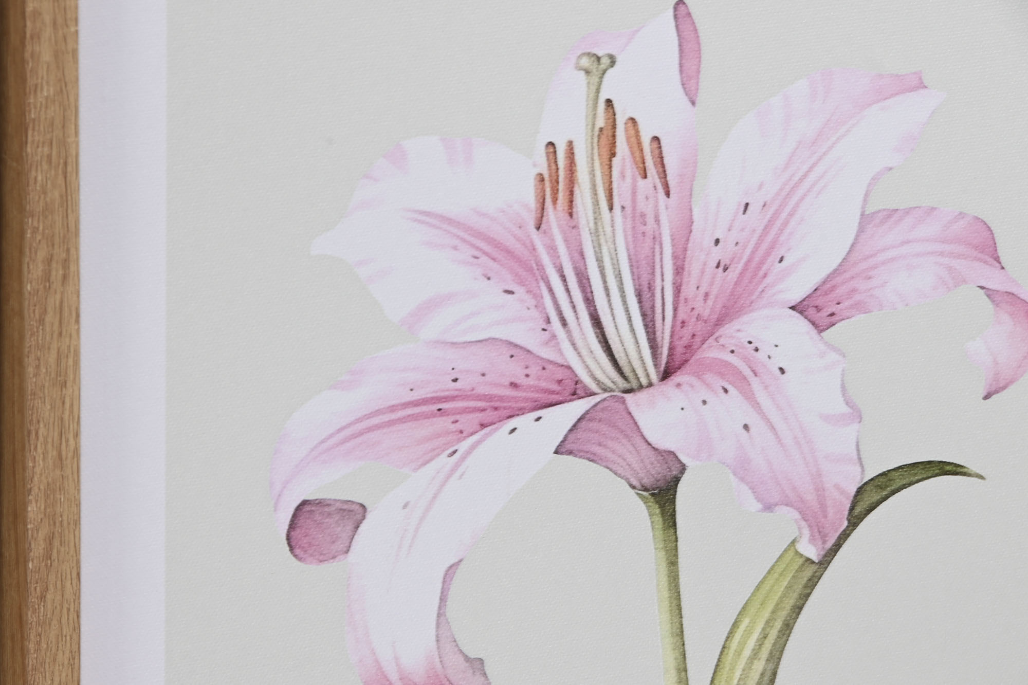 CUADRO LIENZO PS 30X1,8X40 FLORES ROSA 3