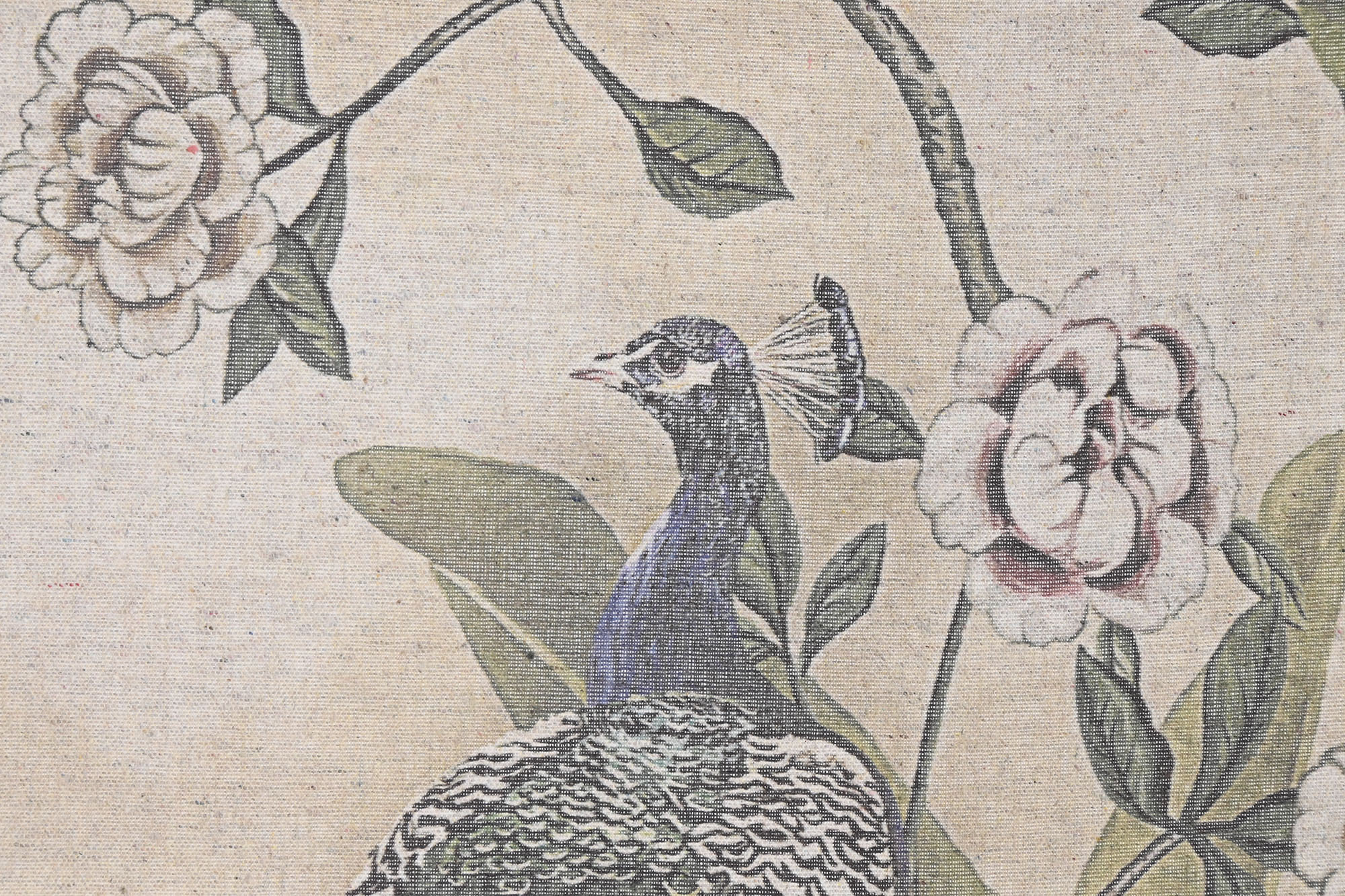 LIENZO LINO ABETO 145X2,5X125 TROPICAL LOROS 3
