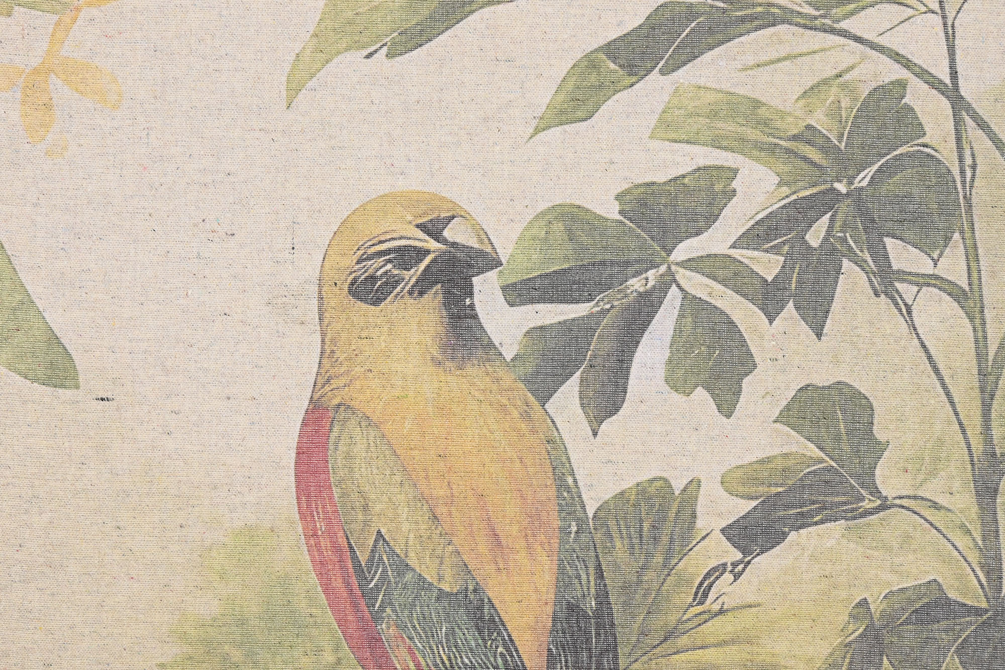 LIENZO LINO ABETO 145X2,5X125 TROPICAL PAVO REAL 6