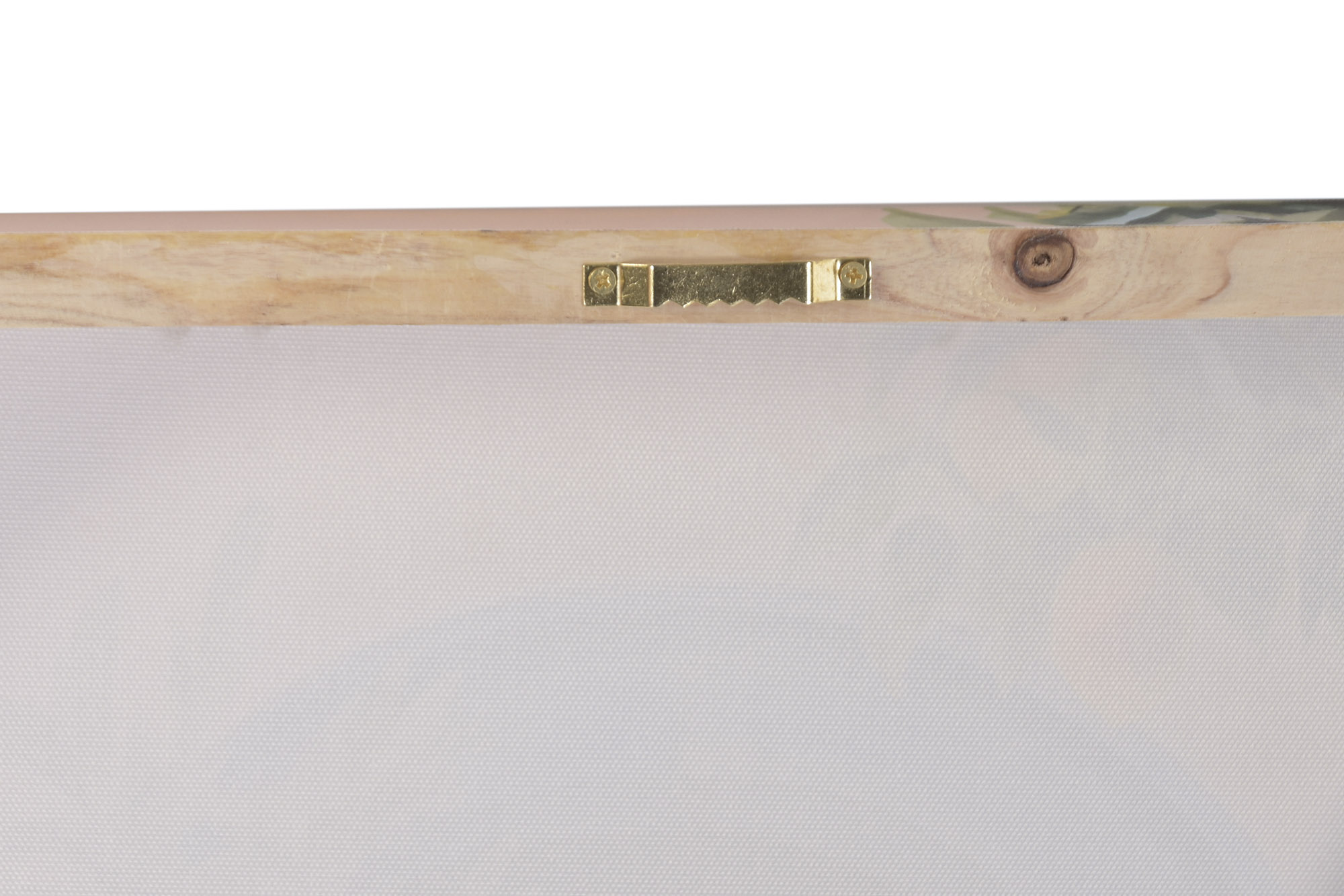 CUADRO LIENZO MDF 60X3X80 LIMONES PUERTA SIN MARCO 4