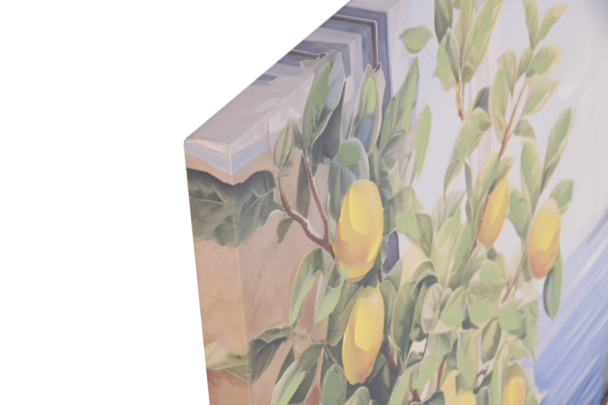 CUADRO LIENZO MDF 100X3X70 LIMONES BALCON PUEBLO 2