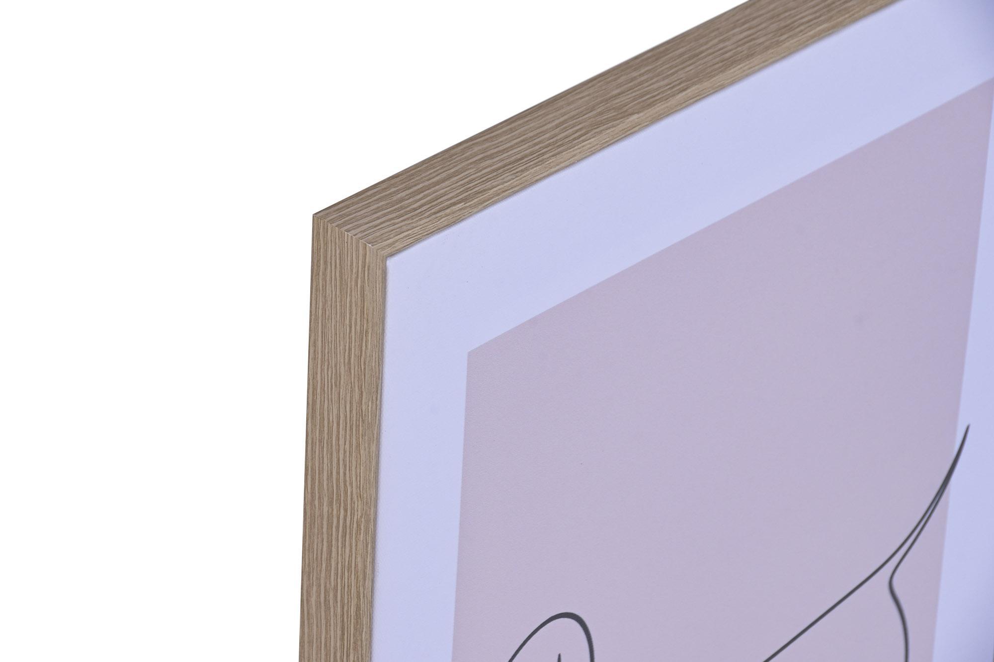 CUADRO LIENZO PS 30X2,2X40 GATO TOPO 2