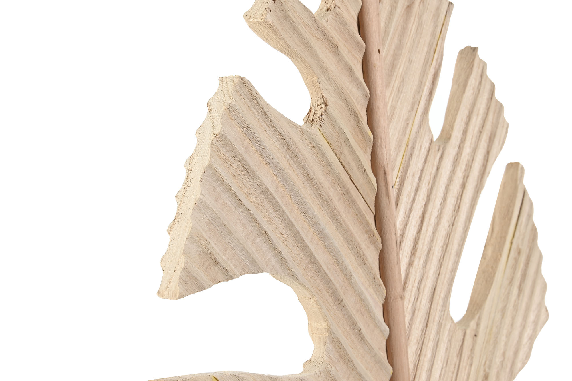 DECORACION PAULOWNIA 38,5X2,3X59 HOJA NATURAL 2