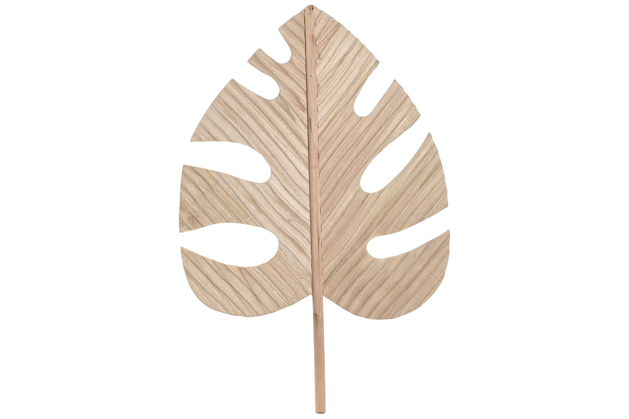 DECORACION PAULOWNIA 38,5X2,3X59 HOJA NATURAL