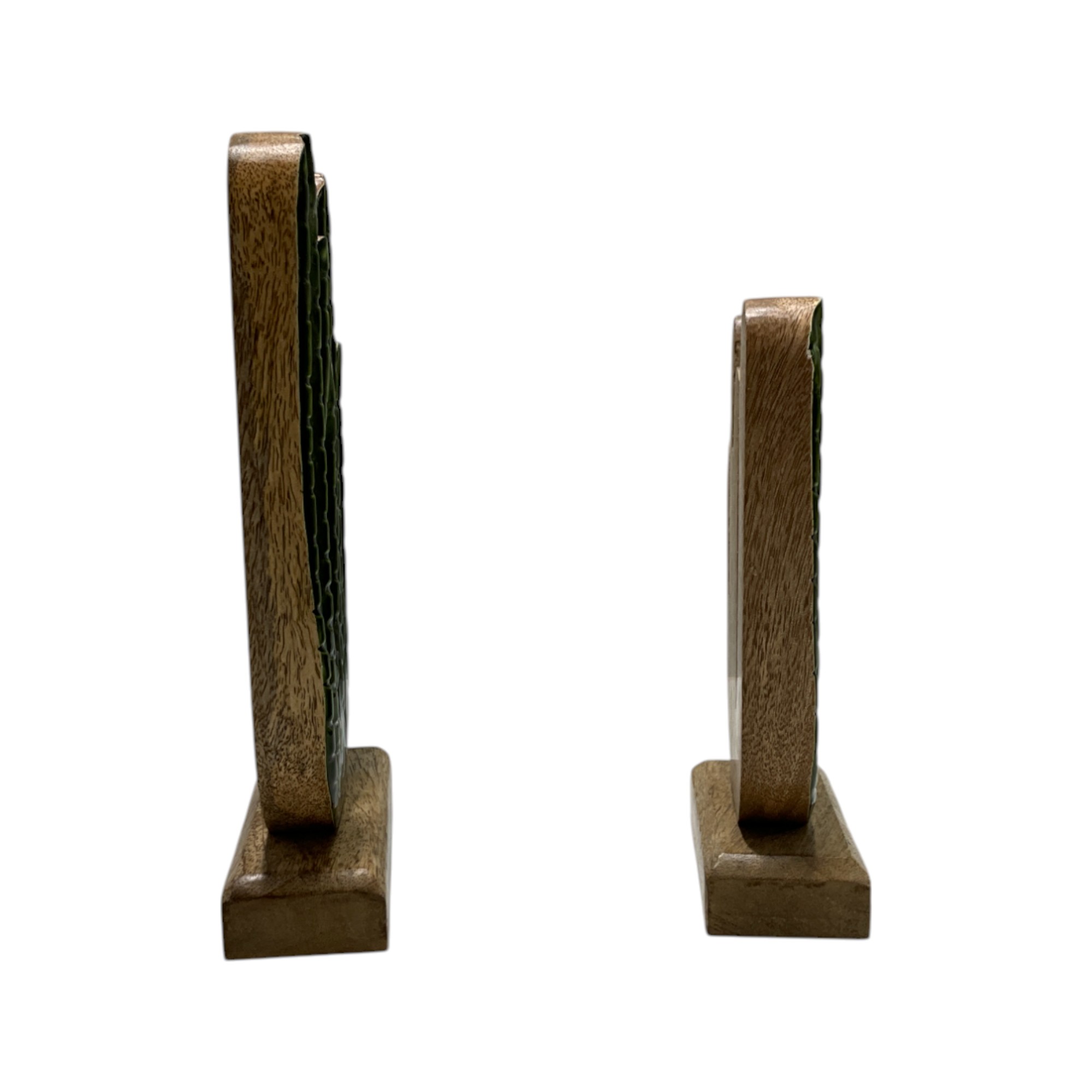 DECORACION SET 2 MANGO 13X5X25,5 CACTUS LACADO 4