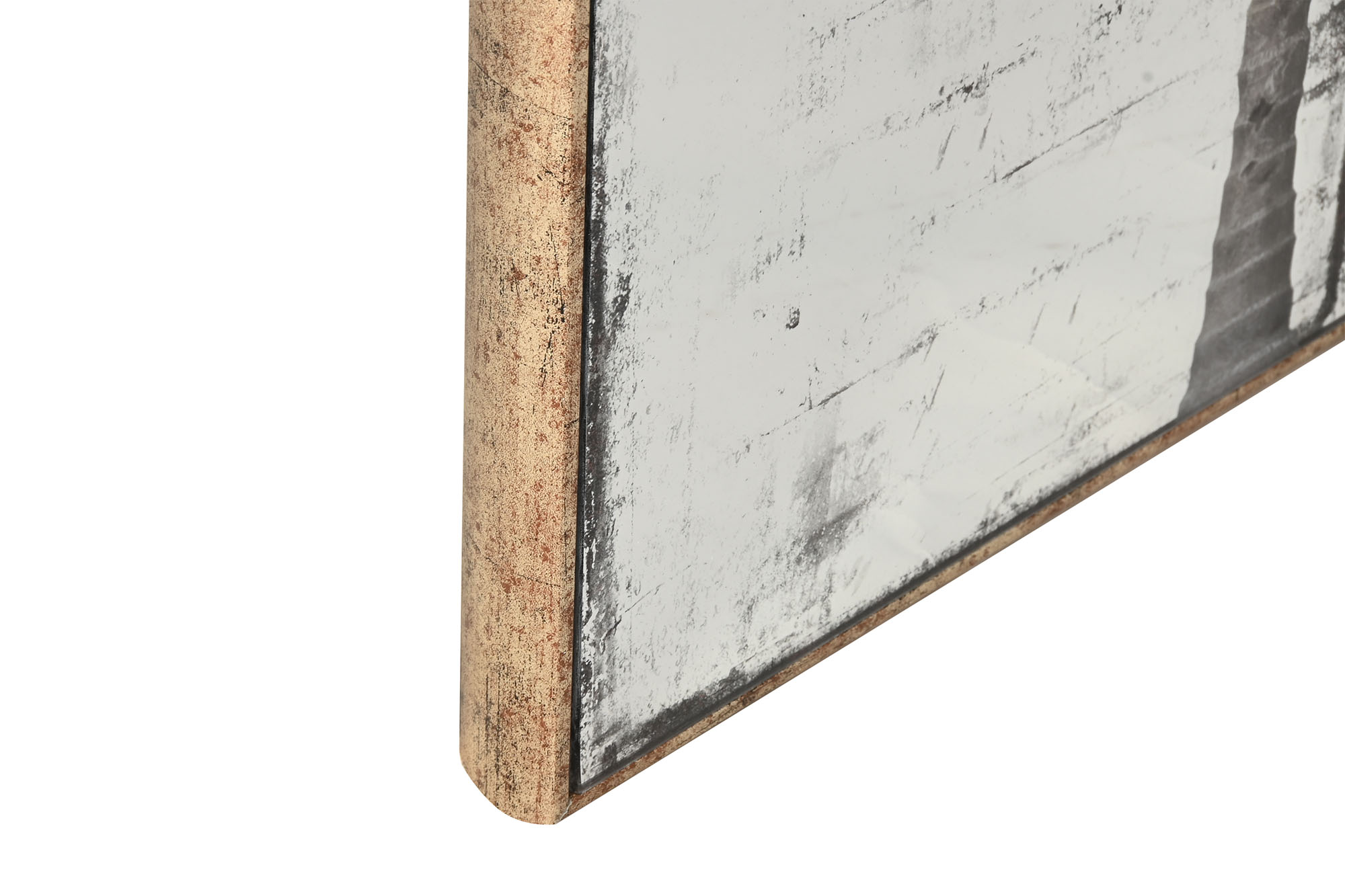 ESPEJO METAL CRISTAL 60X4X120CM  PALMERA ENVEJECID 2