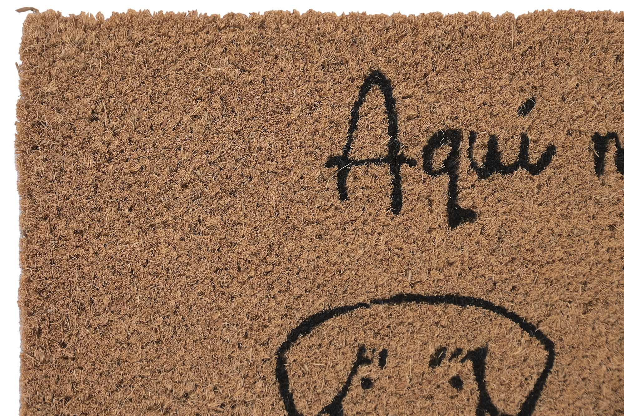 FELPUDO FIBRA COCO GOMA 60X40X1,5 PERROS LOVER 3