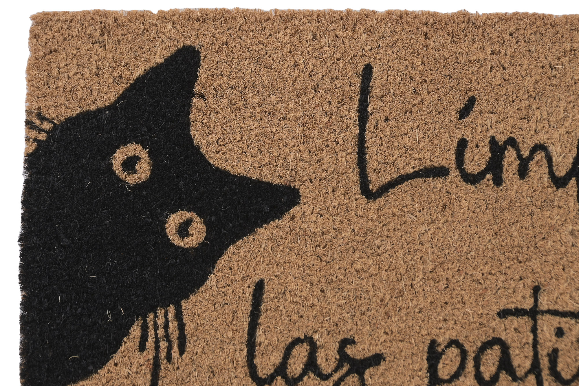 FELPUDO FIBRA COCO GOMA 60X40X1,5 GATOS MIAU 3