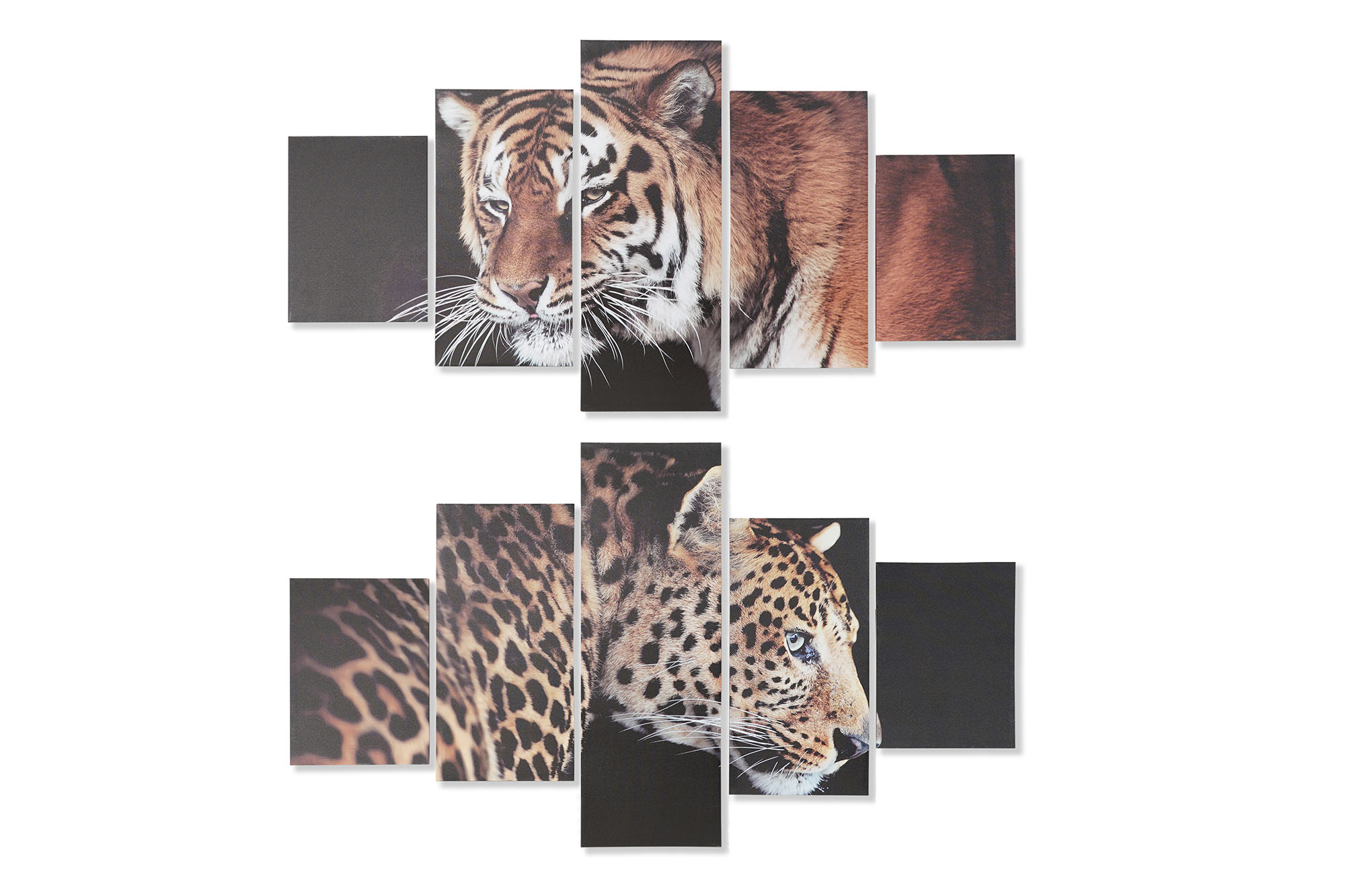CUADRO SET 5 LIENZO PINO 150X2X80 SALVAJE 2 SURT.
