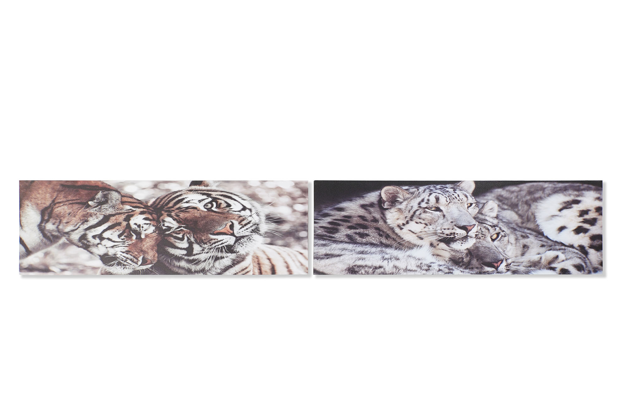 CUADRO LIENZO PINO 135X2,5X45 TIGRES 2 SURT.