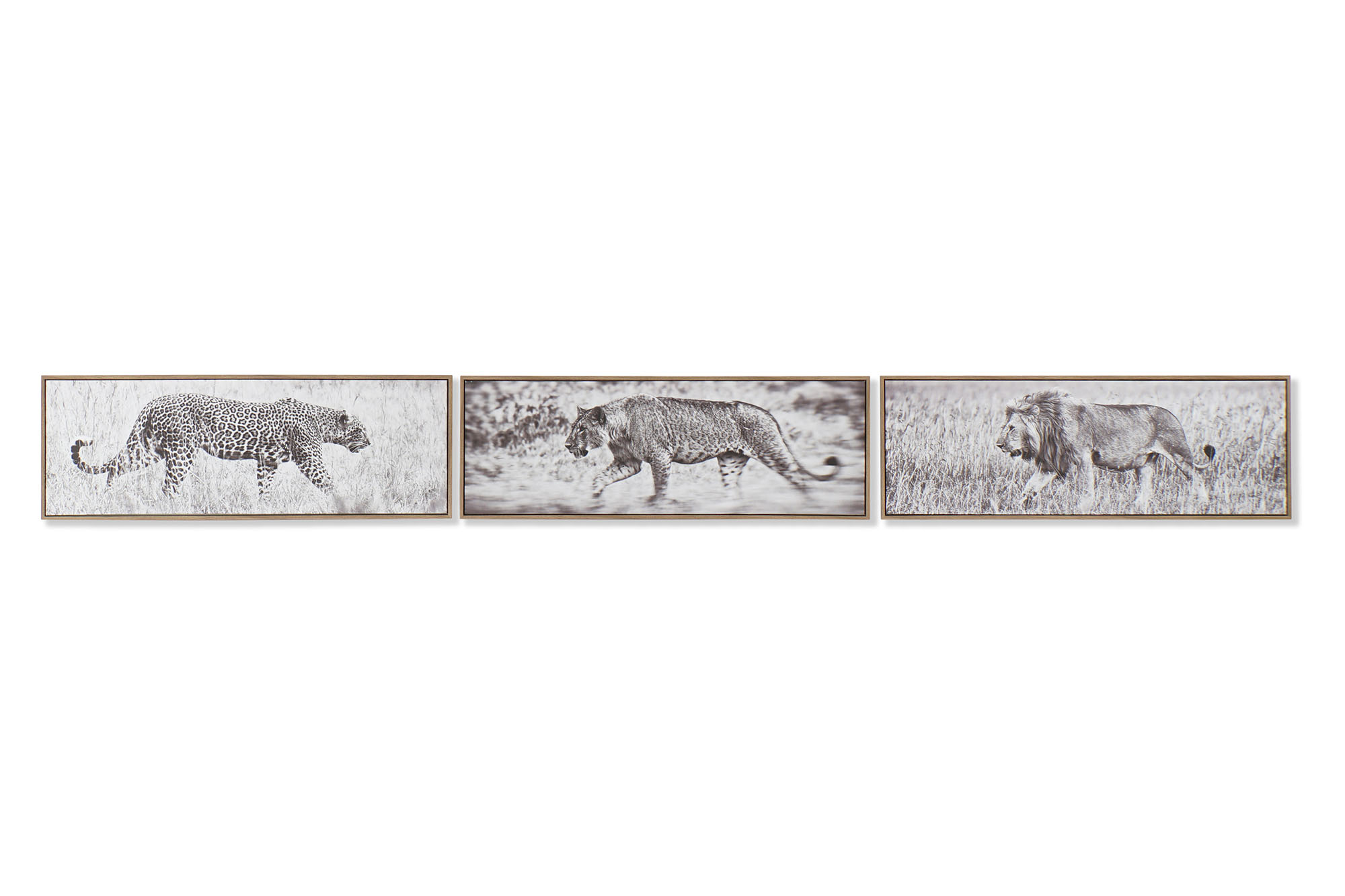 CUADRO LIENZO PP 92,5X3,5X32 SALVAJE 3 SURT.