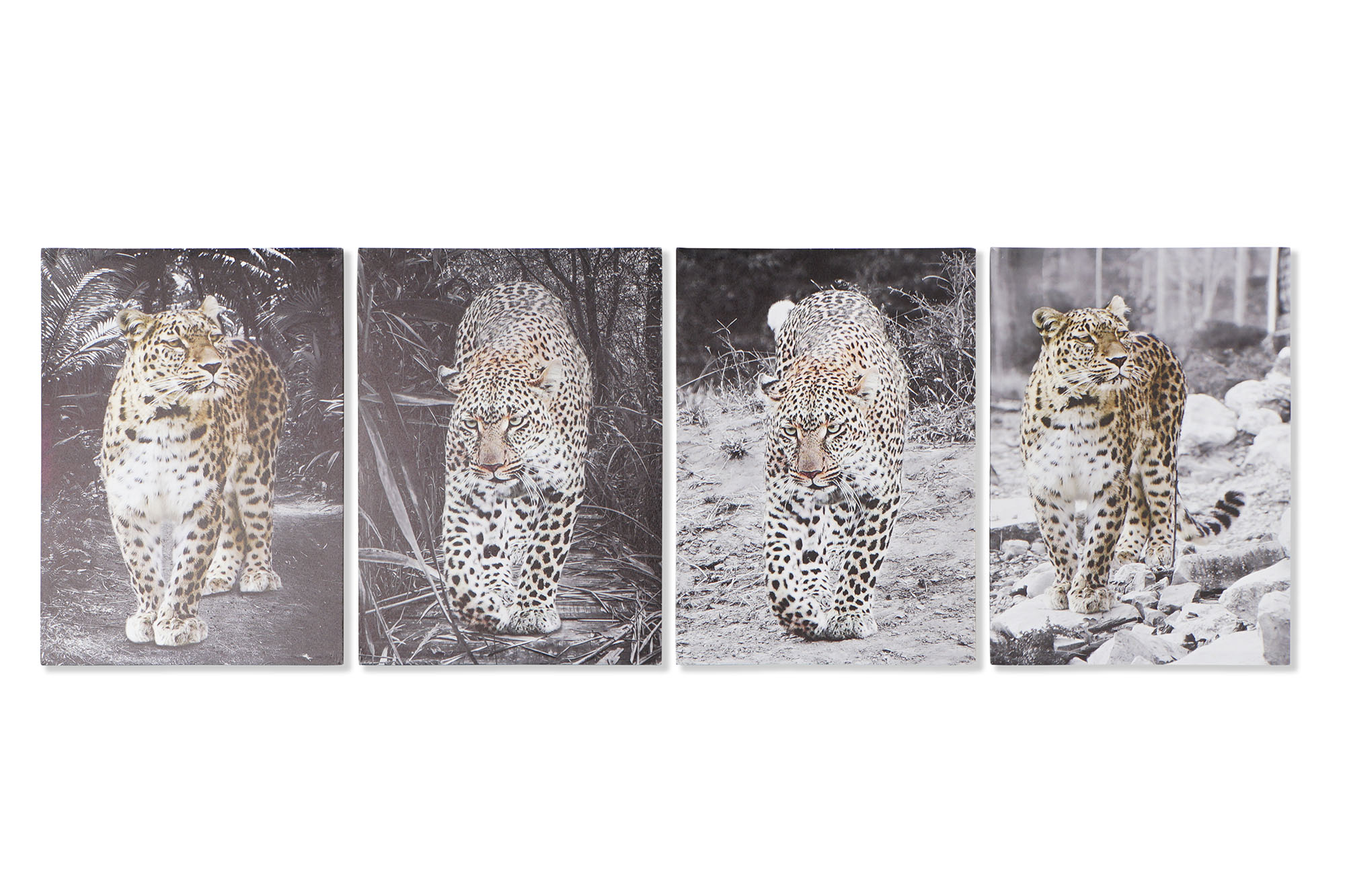 CUADRO LIENZO MDF 50X1,8X70 LEOPARDO 4 SURT.
