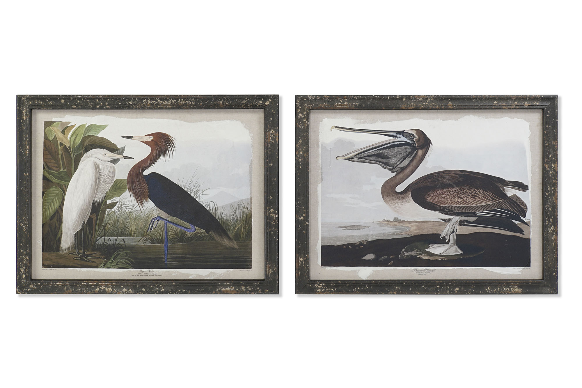 CUADRO MADERA LIENZO 90X2X68 PAJARO 2 SURT.