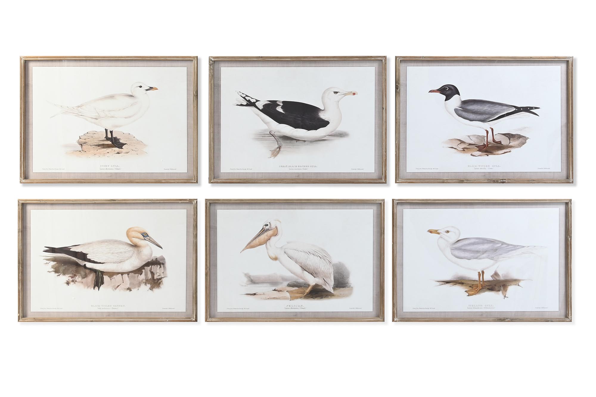CUADRO CRISTAL ABETO 70X2,5X50 AVES 6 SURT.