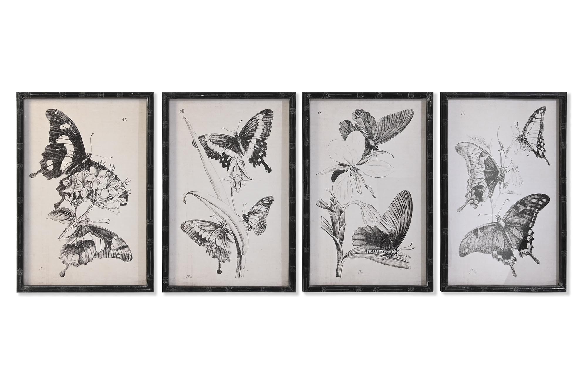 CUADRO CRISTAL ABETO 40X2,8X60 MARIPOSAS 4 SURT.