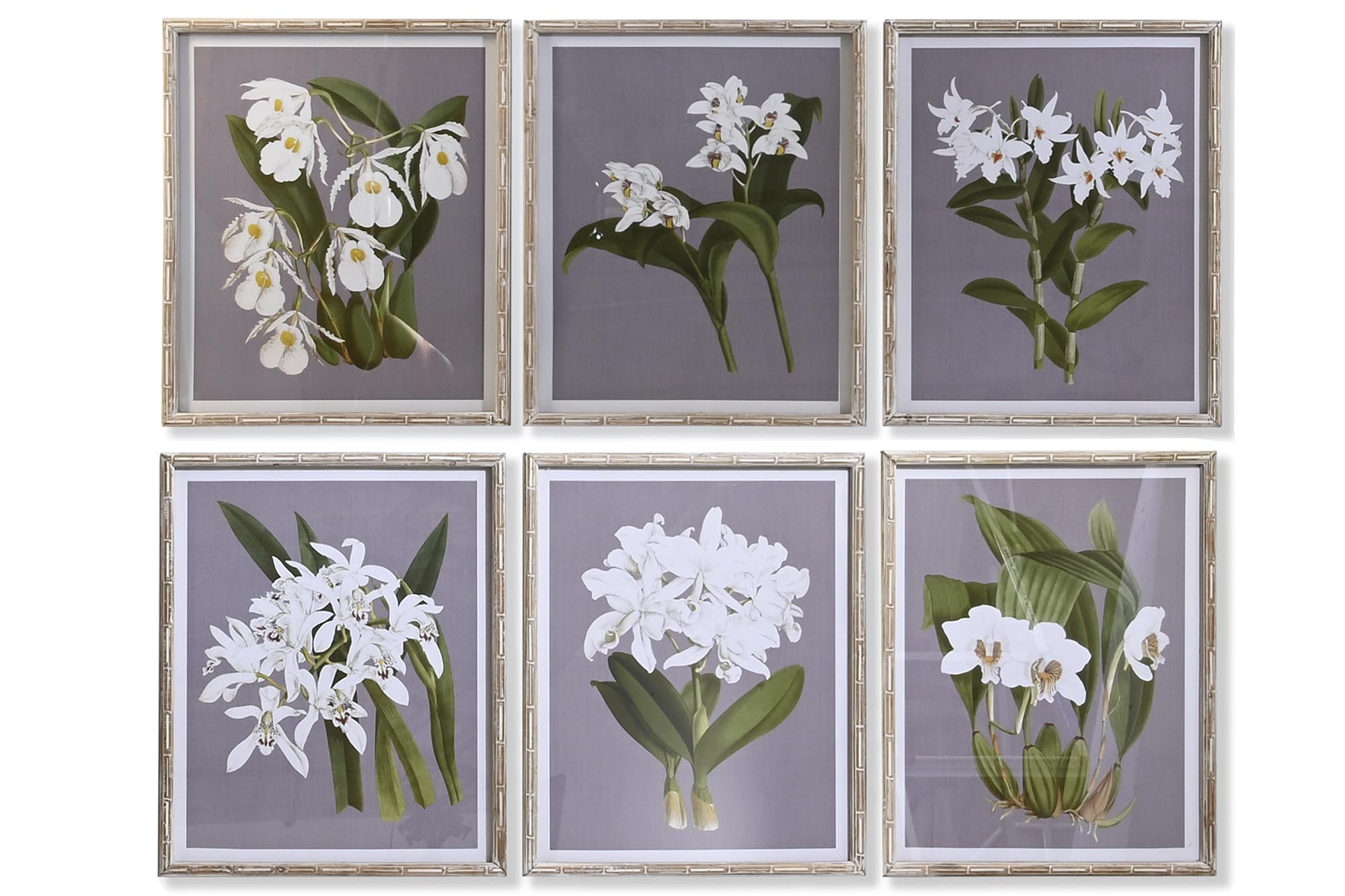 CUADRO CRISTAL ABETO 50X2,8X60 FLORES 6 SURT.