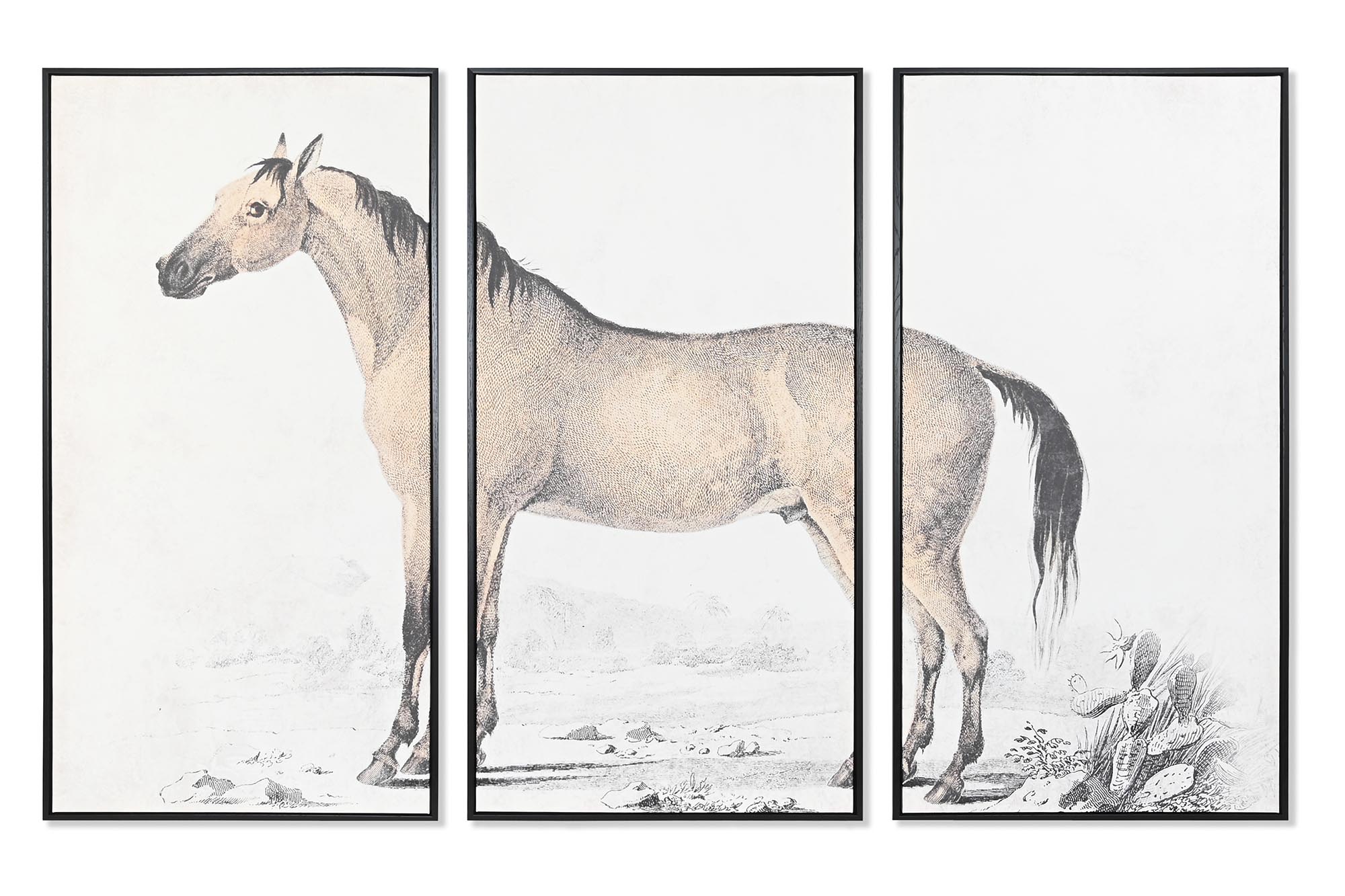 CUADRO SET 3 PS LIENZO 180X4X120 CABALLO ENMARCADO