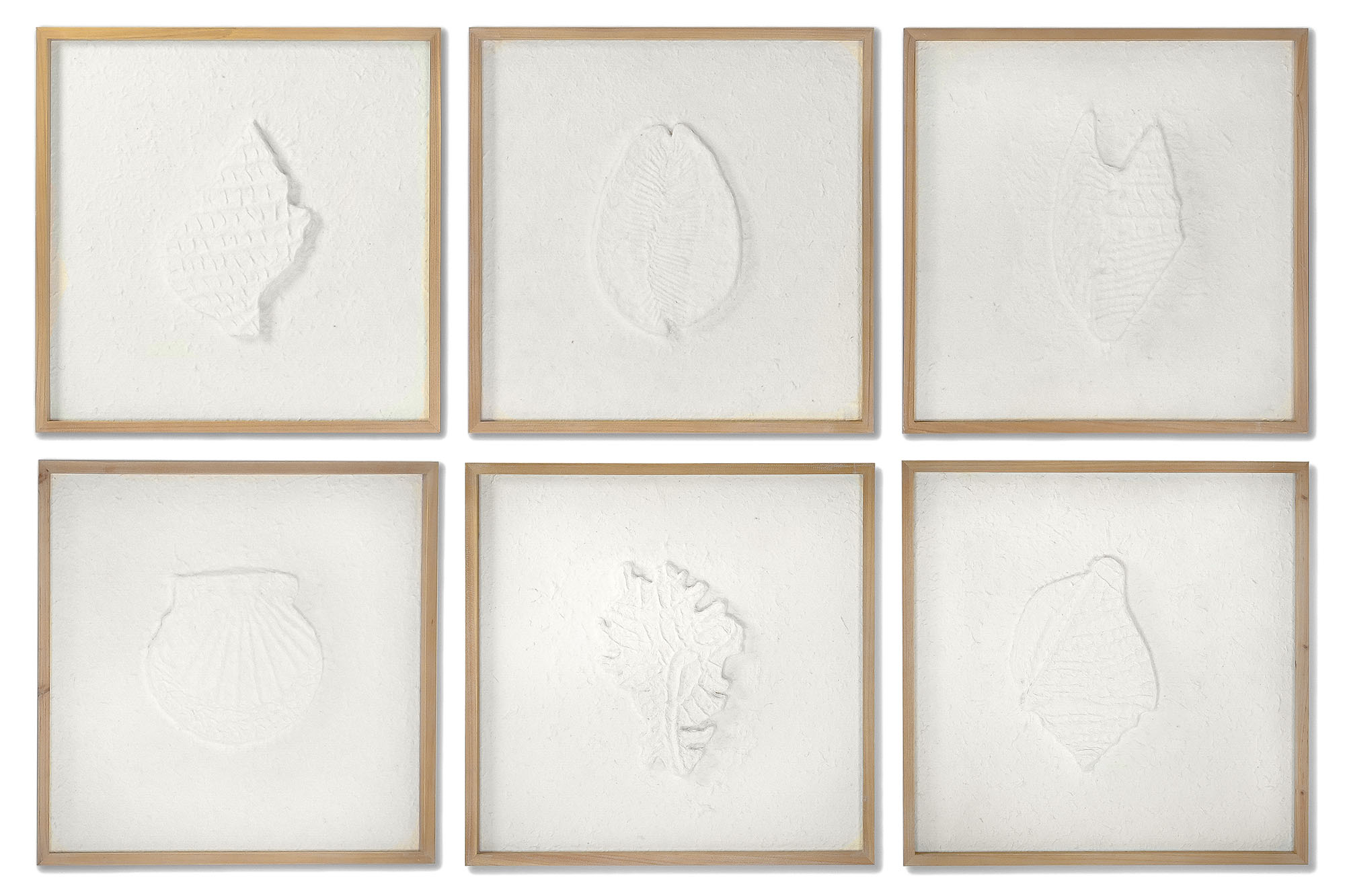 CUADRO ABETO MDF 50X2X50 CONCHAS ENMARCADO 6 SURT.