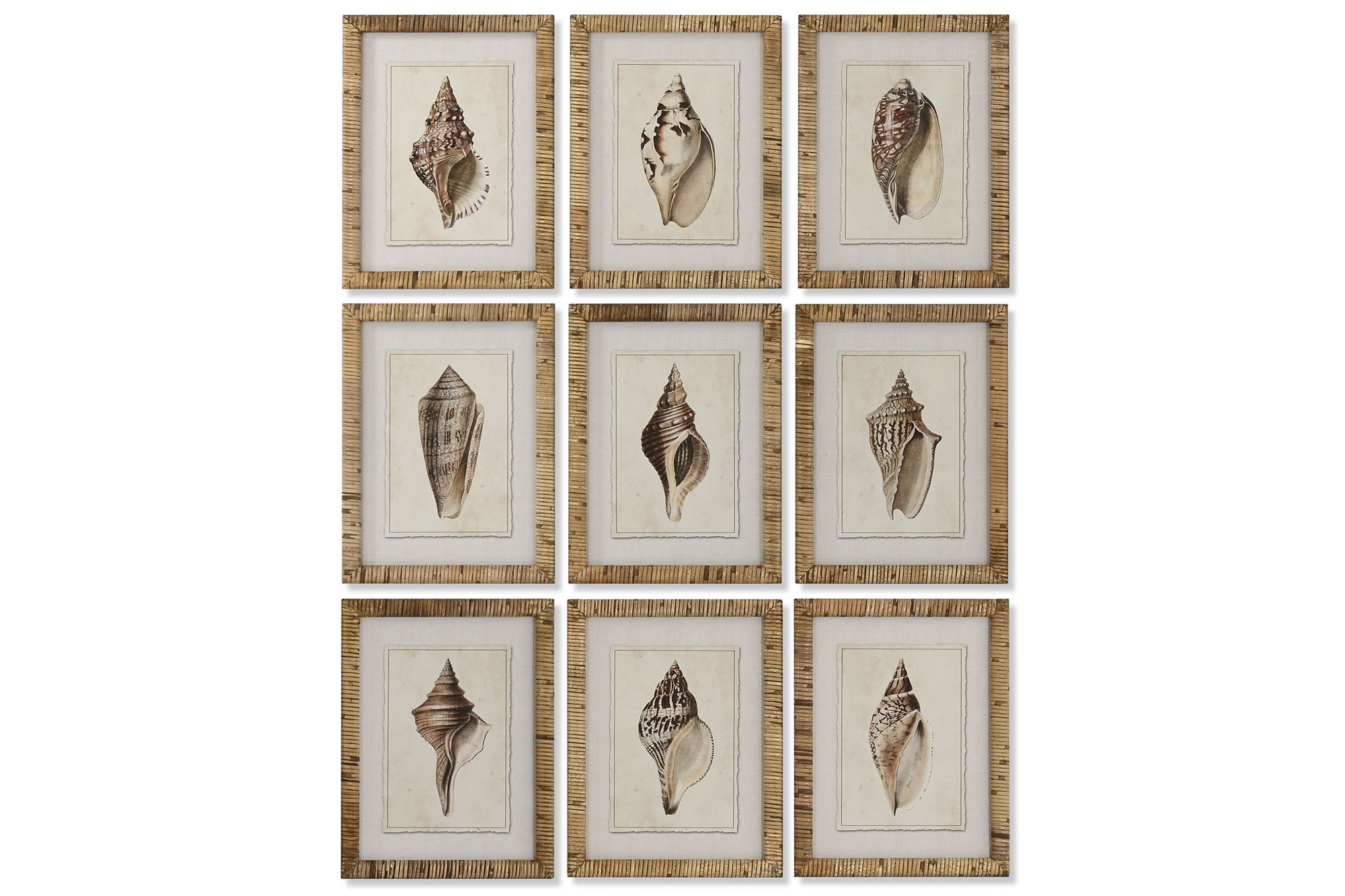 CUADRO ABETO CRISTAL 30X2,5X40 CARACOLA 9 SURT.
