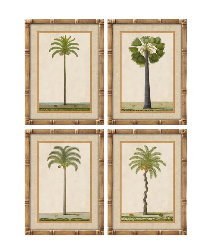 CUADRO CRISTAL BAMBU 45X2,5X60 PALMERA 4 SURT.